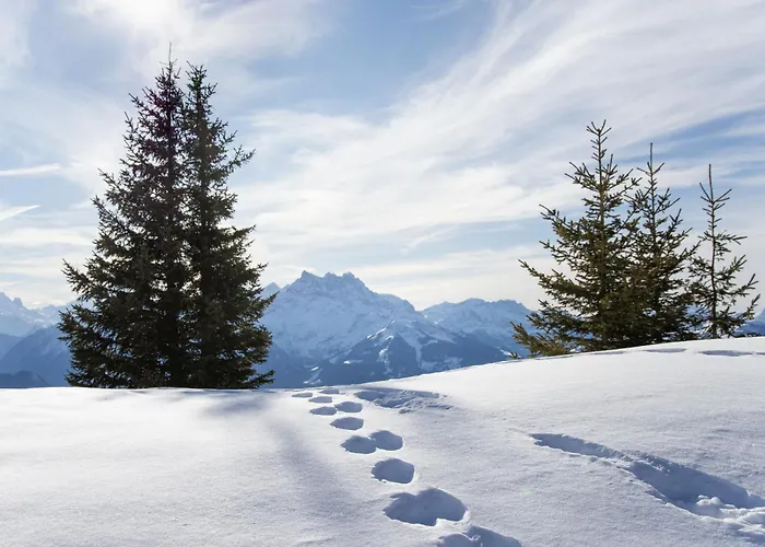 Chaperon Rouge A3 By Interhome * Chesières